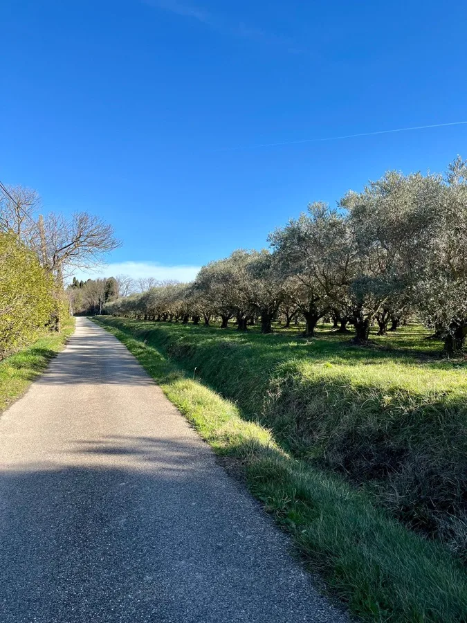 Cyclistes choisissant leur destination au bord d'un lac en Provence