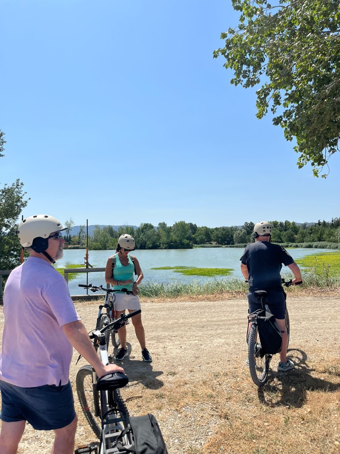 Troupeau de chèvres croisé lors de la préparation d'un circuit à vélo